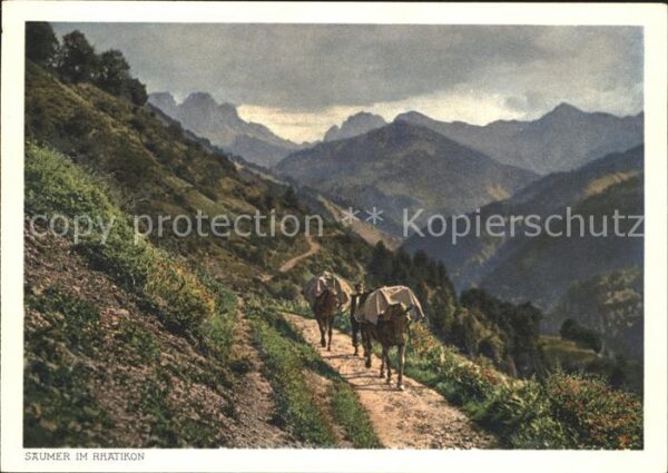 Esel Tiere Säumer Rhätikon Berge Heimatbilder Nr.