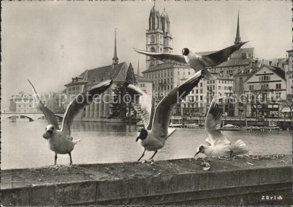 Moewen Zürich