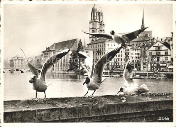 Moewen Zürich