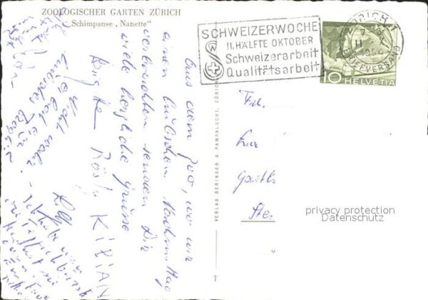 Affen Schimpanse Nanette Zoo Zürich – Bild 2