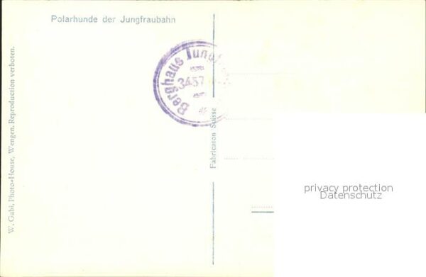 Hunde Polarhunde Jungfraubahn – Bild 2