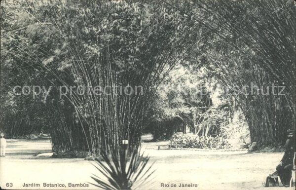 Rio de Janeiro Jardim Botanico Bambus