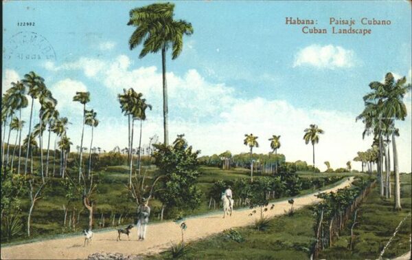Habana Havana Paisa je Cubano