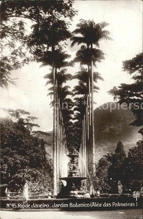 Rio de Janeiro Jardim Boranico