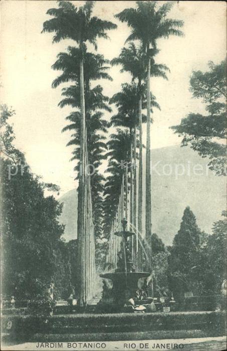 Rio de Janeiro Jardim Botanico