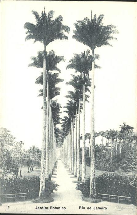 Rio de Janeiro Jardim Botanico