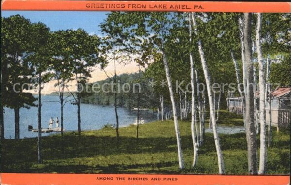 Lake Ariel Among the Birches Pines