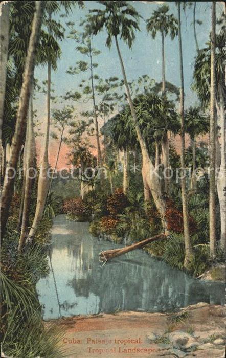 Cuba Cuba Tropical Landscape