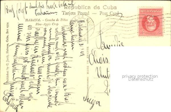 Habana Havana Cosecha de Pinas – Bild 2