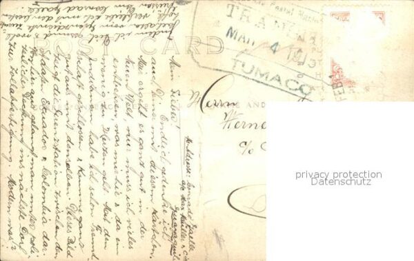 San Andres Tumaco Dorf Kühe – Bild 2