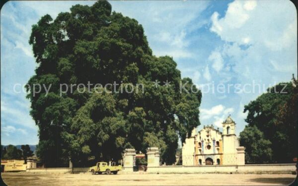 Oaxaca El Arbol del Tule