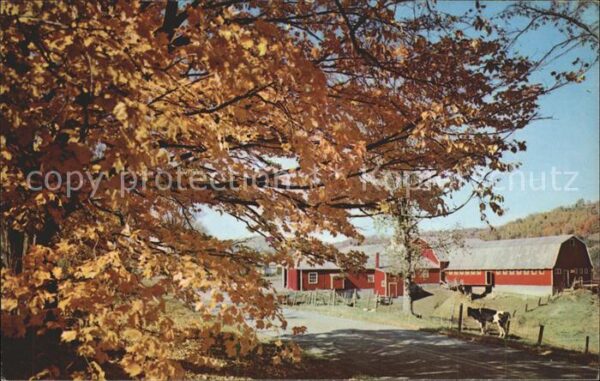 New Wilmington Farm automn