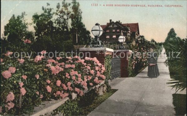 Pasadena California Rose Bordered Sidewalk