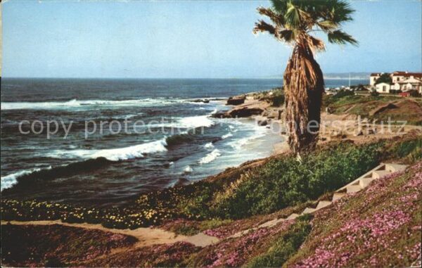 San Diego California California Shoreline Beach
