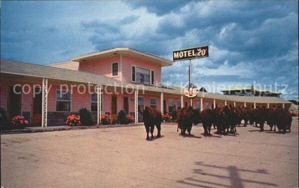 Moville Iowa Motel 20 Büffel