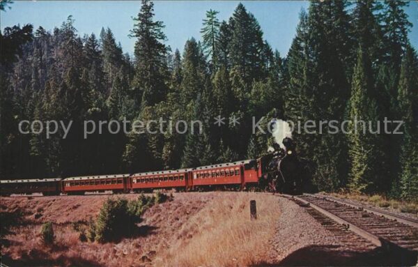 Eisenbahn Lokomotive Super Skunk on Horseshoe Cur
