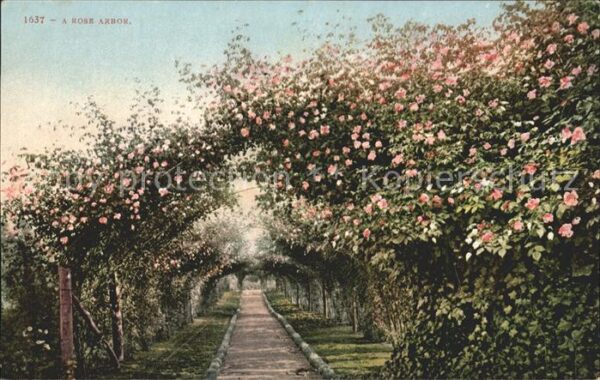 Rosen Rose Arbor