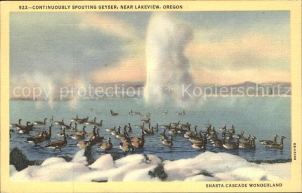 Geysire Vulcans Geysers Vulkane Lakeview Oregon Shasta Cascade Wonderla