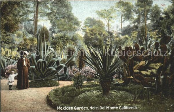 Kakteen Mexican Garden Hotel Del Monte Californ