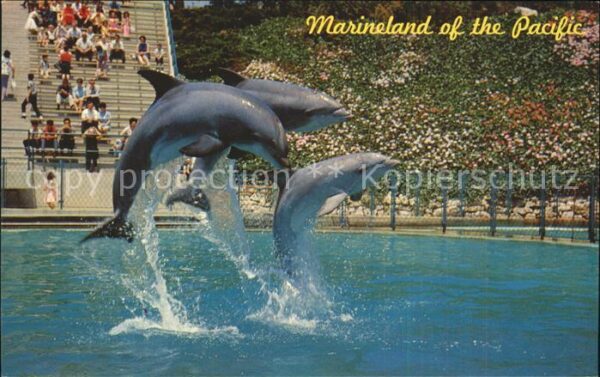 Delfine Delphine Dolphins Dauphins Delfi Marineland of the Pacific leaping dolph