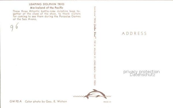 Delfine Delphine Dolphins Dauphins Delfi Marineland of the Pacific leaping dolph – Bild 2
