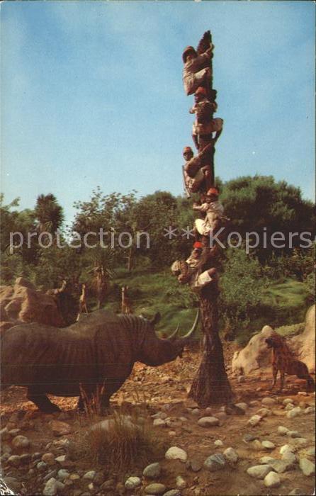 Disneyland California Trapped Safari Rhinoceros hyenas Nashor