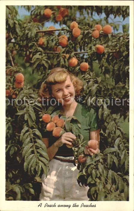 Obst Baum Pfirsiche Peach Frau