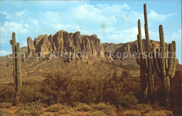 Kakteen Superstition Mountains