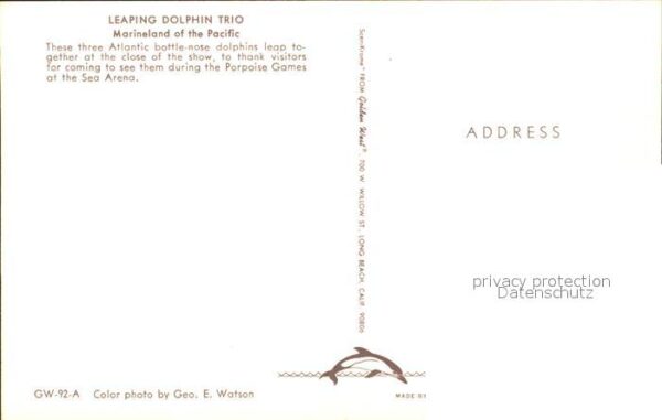 Delfine Delphine Dolphins Dauphins Delfi Marineland of the Pacific Leaping Dolph – Bild 2