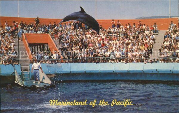 Delfine Delphine Dolphins Dauphins Delfi Marineland of the Pacific Jumping the H