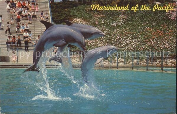 Delfine Delphine Dolphins Dauphins Delfi Leaping Dolphin Trio Marineland of the