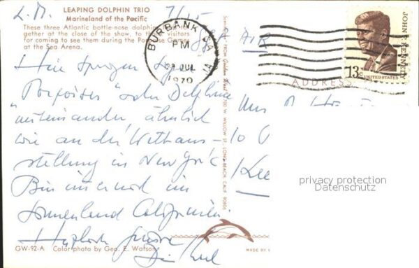 Delfine Delphine Dolphins Dauphins Delfi Leaping Dolphin Trio Marineland of the – Bild 2