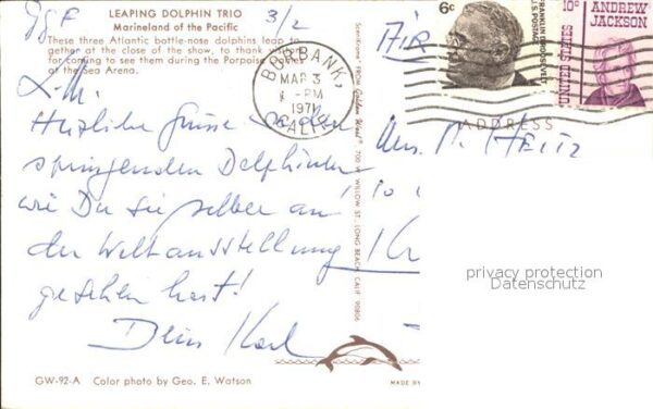 Delfine Delphine Dolphins Dauphins Delfi Leaping Dolphin Trio Marineland of the – Bild 2