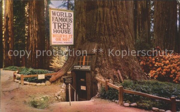 Baeume Trees World Famous Tree House Redwood Highway