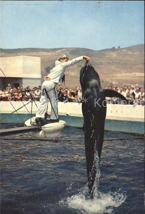 Delfine Delphine Dolphins Dauphins Delfi Bubbles Marineland of the Pacific Palos