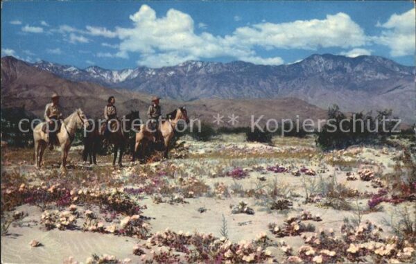 Cowboys Lofty San Jacinto Springtime Desert Pla
