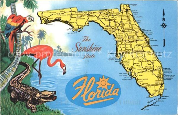 Flamingo Krokodil Papagei Sunshine State Florida