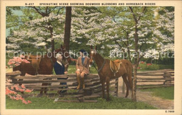 Pferde Springtime scene Dogwood Blossoms Horse