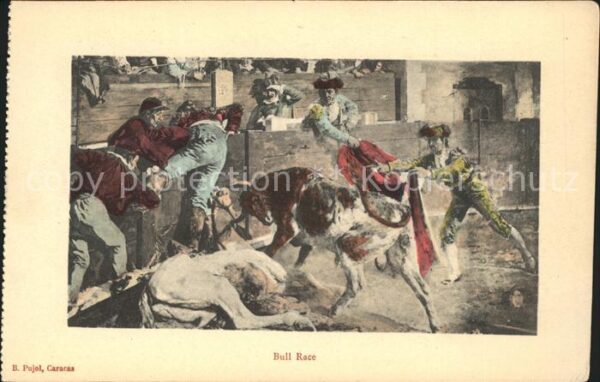 Stierkampf Bull Race