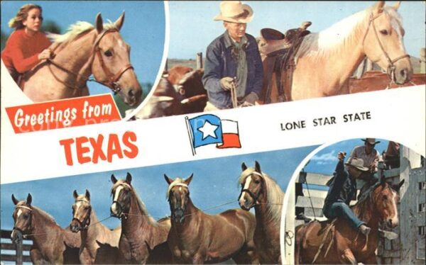 Pferde Cowboy Texas Lone Star State