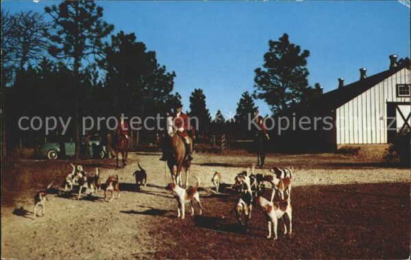 Hunde Pferde Moore County Hounds Southern Pin