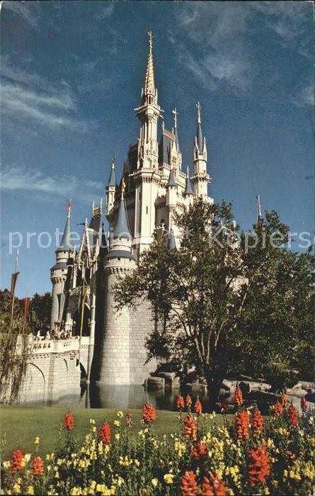 Disney World Cinderella Castle