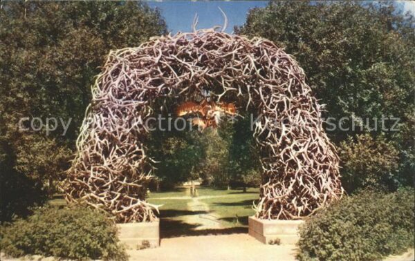 Elch Geweihe Elk Horn Arch Jackson Wyoming