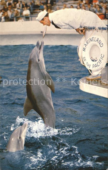 Delfine Delphine Dolphins Dauphins Delfi Marineland of the Pacific Palos Verdes