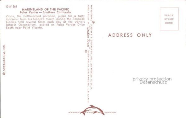 Delfine Delphine Dolphins Dauphins Delfi Marineland of the Pacific Palos Verdes – Bild 2