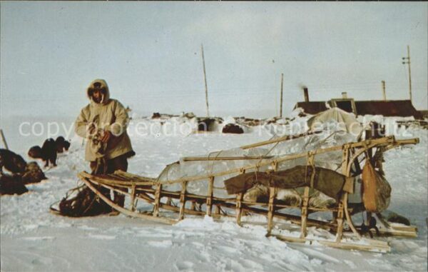 Schlitten Schnee Eskimo Sled Alaska