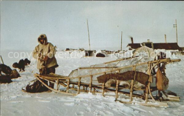 Schlitten Schnee Eskimo Sled Alaska