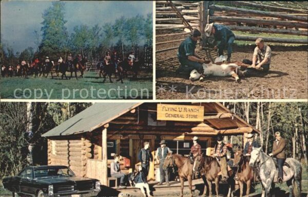 Pferde Flying U Ranch Mile House British Colum