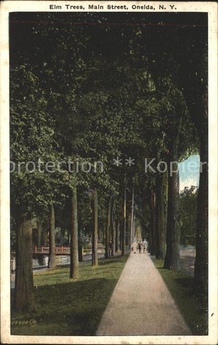 Oneida New York Elm Trees Main Street