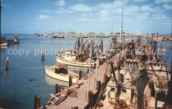 Key West Shrimp Boats Harbor